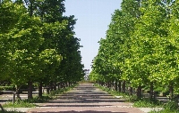 舎人公園／東京都足立区
