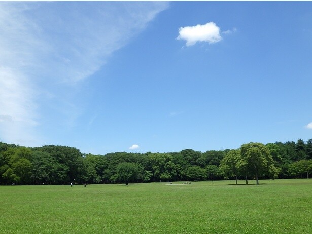 都立小金井公園／東京都小金井市