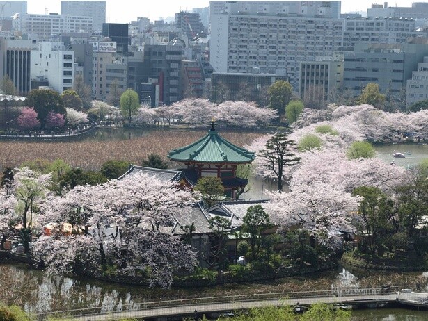 上野恩賜公園／東京都台東区