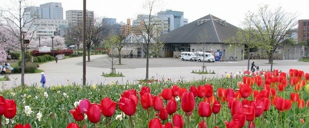 木場公園／東京都江東区