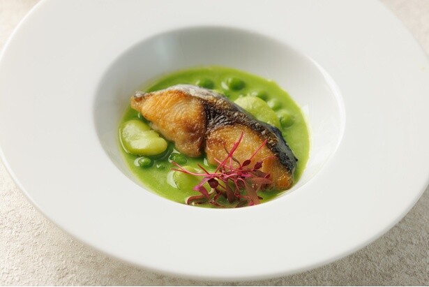 「鰆(さわら)の白ワイン蒸し　グリーンピースと季節野菜のクレマ」(ランチ限定)