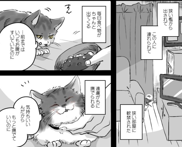 警戒しながらも「軟禁生活」は思いの外、楽しかった