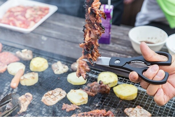 キッチンバサミは肉を切るのにも使える