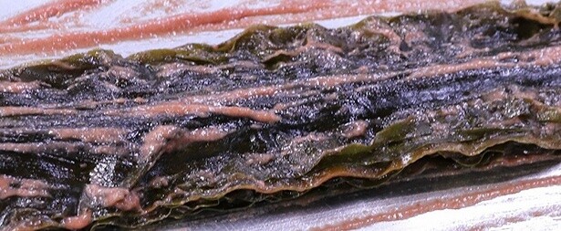 【写真】一枚一枚の昆布に紀州梅をしっかりと塗り込む
