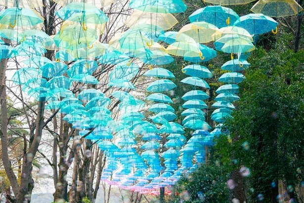 カラフルな傘で「小さなトロールと大きな洪水」の物語をイメージ