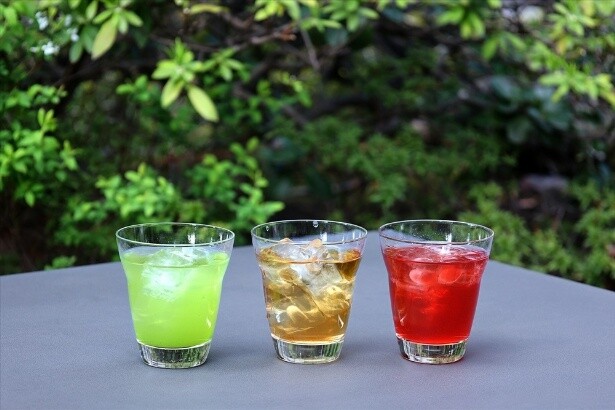 【写真】日本茶を使った「お茶カクテル」も新登場