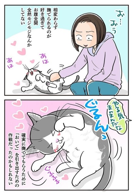 撫でられるのが好きすぎるポッちゃん…あのくねくねは、まさかの作戦!?