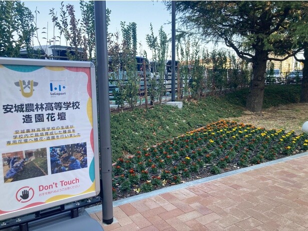 愛知県立安城農林高校の生徒が整備した花壇