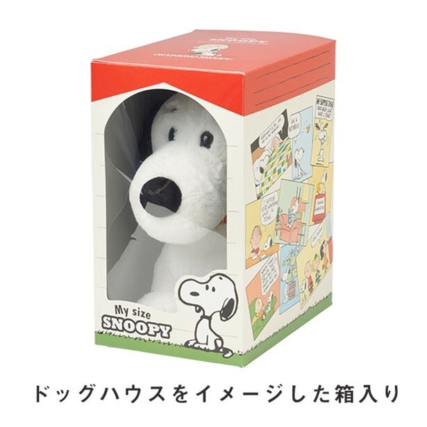 ボックスもおしゃれだから、このまま飾ってもOK！