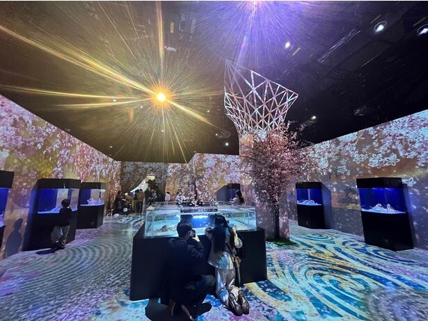 取材時は、「NAKED SAKURA AQUARIUM」と題し、桜色に染まる海の世界を演出(現在は終了)
