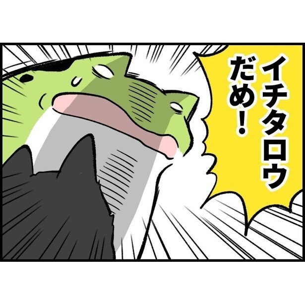 柴犬に向かって「イチタロウ(息子の名前)、だめ！」と怒鳴る