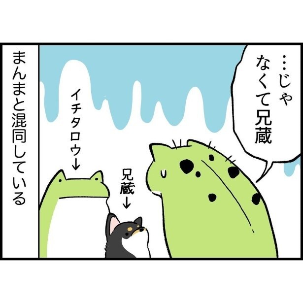 子どもの名前とペットの名前わりと間違えがち_6