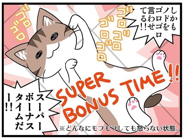どんなにもモフモフしても怒られない「スーパーボーナスタイム」が発動