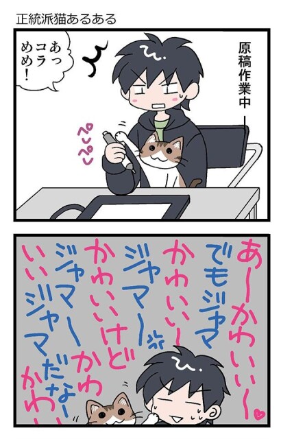 『初猫物語』正統派猫あるある 1
