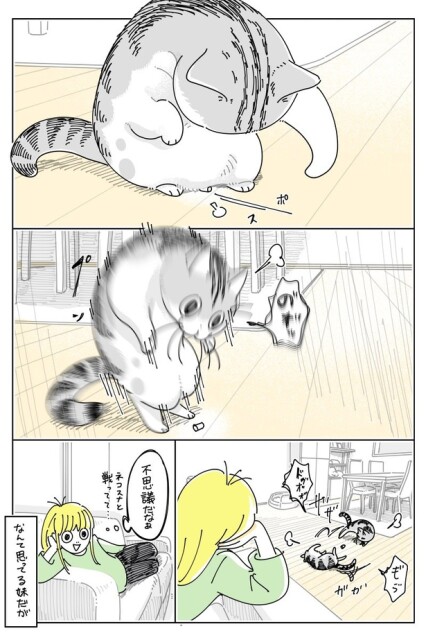 02