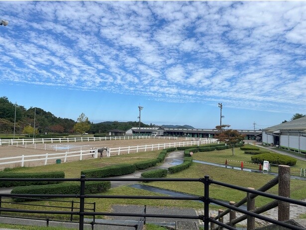 【写真】“馬との心のふれあい”を大切にした乗馬牧場