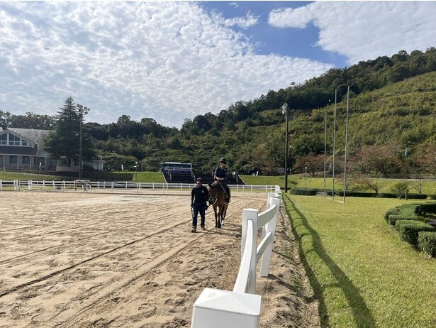 馬は訓練されており、安心して騎乗することができる