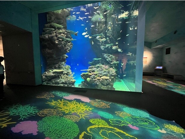 3階には世界の海の生物と生育環境を再現した水槽も。プロジェクションマッピングでとても幻想的