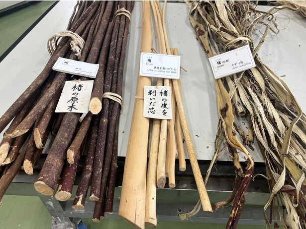 コウゾがどのように加工され、和紙の材料に使われるのか丁寧に説明してくれる