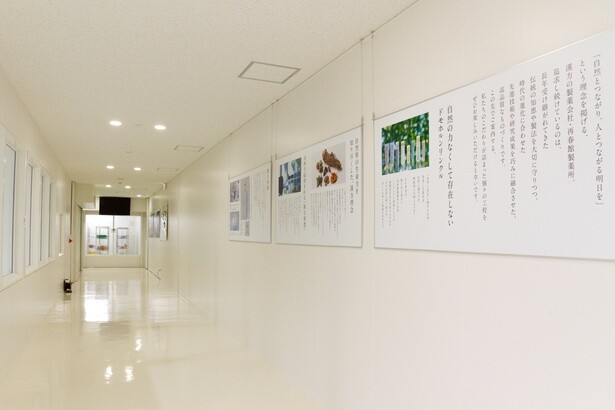 「薬彩工園」の見学も社員が解説してくれるのでわかりやすい