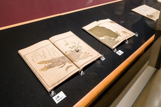 「画本虫撰」(宿屋飯盛撰／喜多川歌麿画)※5月20日(火)から別本を展示