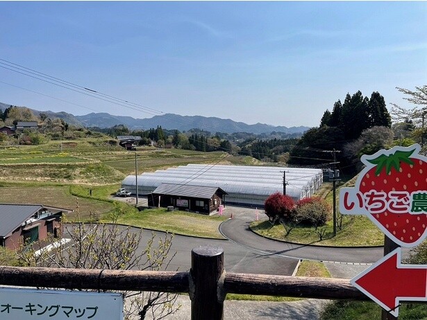 道の駅竹田にある「水の国わくわく農園いちごハウス」
