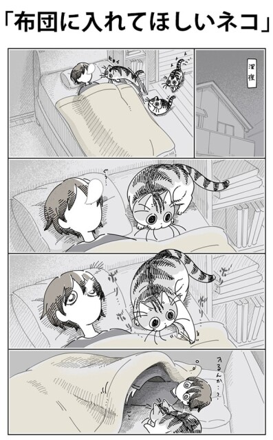 「布団に入れてほしいネコ」01