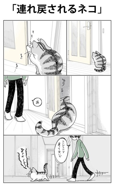 「連れ戻されるネコ」01