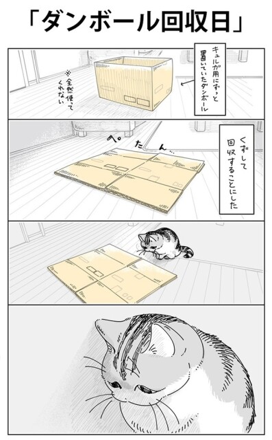 「ダンボール回収日」01