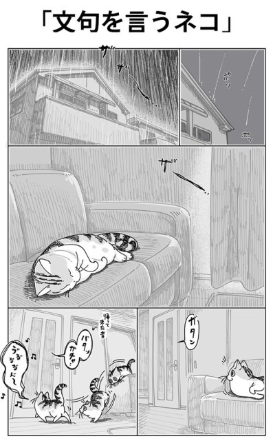 「文句を言うネコ」01