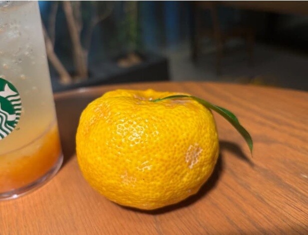 炭酸の刺激とともに柑橘のさわやかさが際立つ一杯に