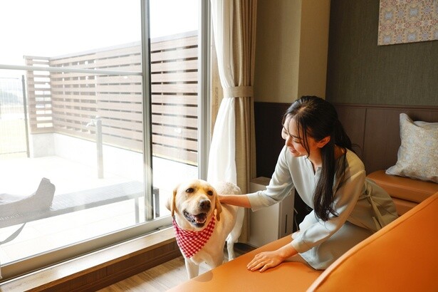愛犬との旅行を楽しめるワンちゃん泊ルーム(大型犬にも対応)