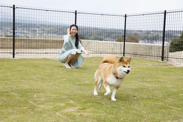 専用＆共有ドッグランや愛犬用アメニティも完備