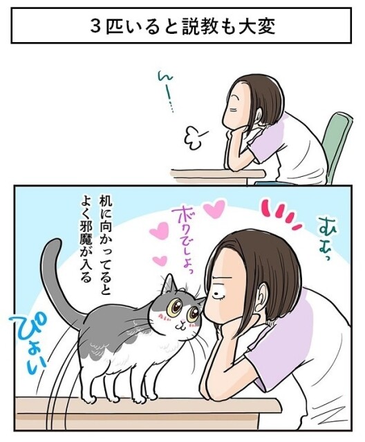 「3匹いると説教も大変」1