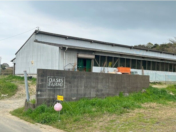 渥美フーズが営む「OASIS FARM」の養鶏場