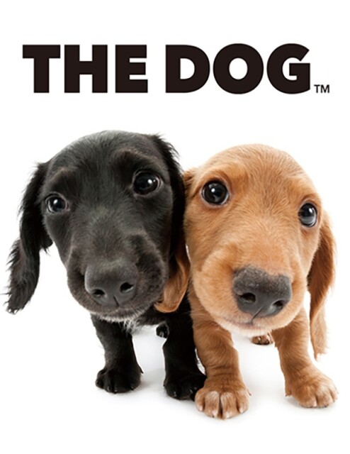 【写真】魚眼レンズで撮ったユニークさが特徴の「THE DOG」