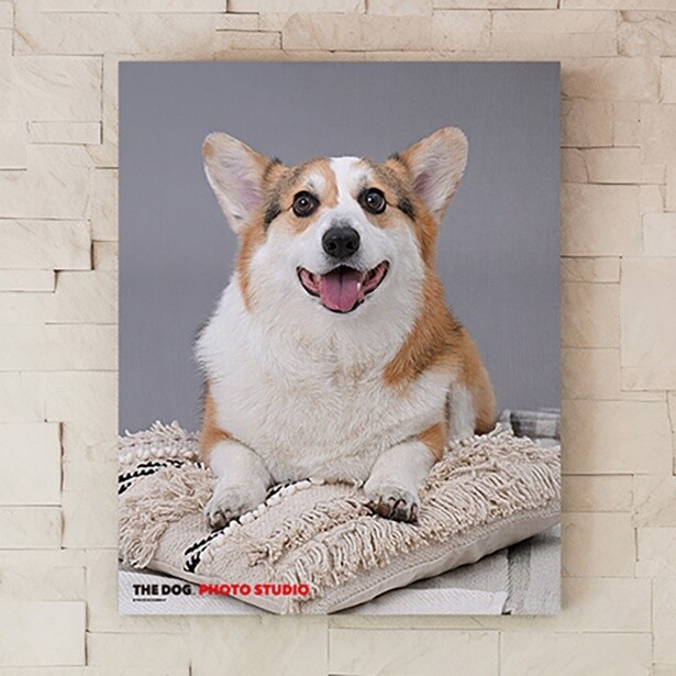 フォトパネル(9500円〜)