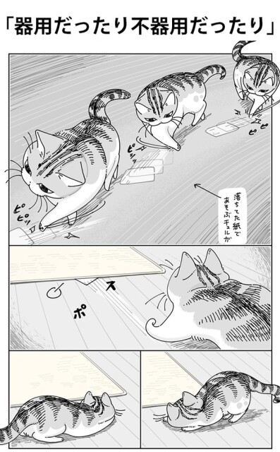 「器用だったり不器用だったり」01