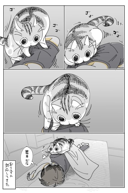 03