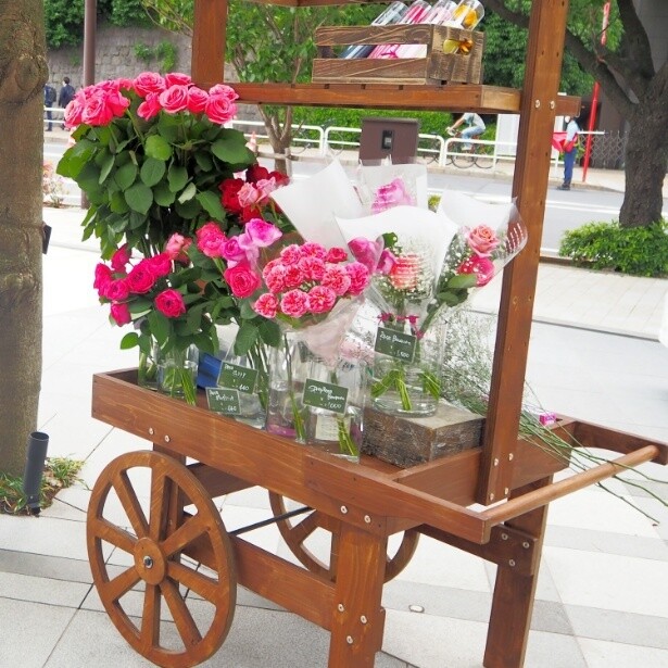 KIOI ROSE MARCHE