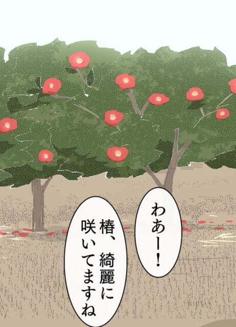 病院のお庭に咲く鮮やかなツバキ 3-11