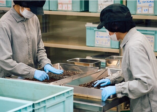 横浜ロースタリーは生豆の温度管理や清潔度に応じたゾーニングを徹底