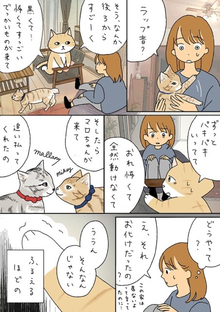マロちゃんに助けられたときのことを話す旦那さん