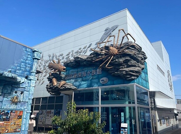 沼津深海⽔族館