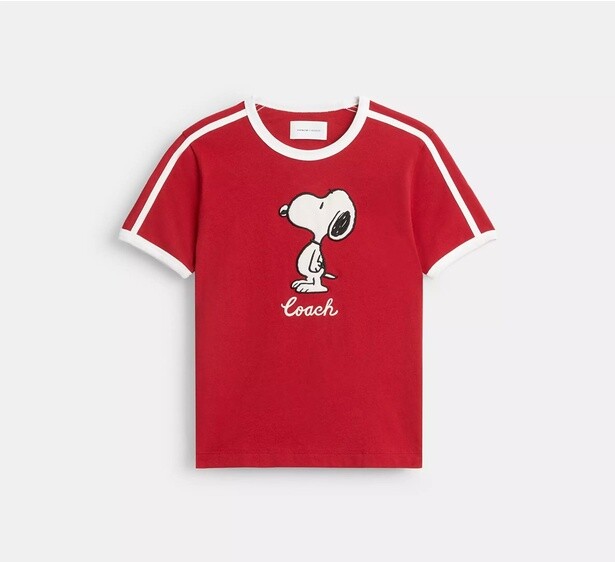 「リンガーTシャツ」(1万7600円)