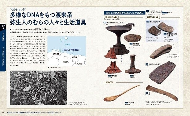 多様なDNAをもつ渡来系 弥生人のむらの人々と生活道具(公式図録より)