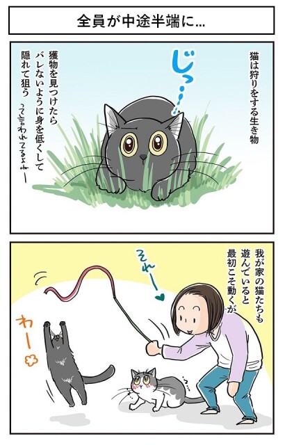 遊んでいると最初は動き回るが…