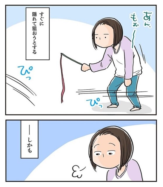 すぐに隠れて狙おうとする3匹の猫ちゃんたち