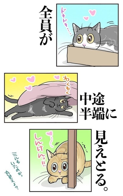 「隠れて狙っている」つもりでも…丸見えです!!