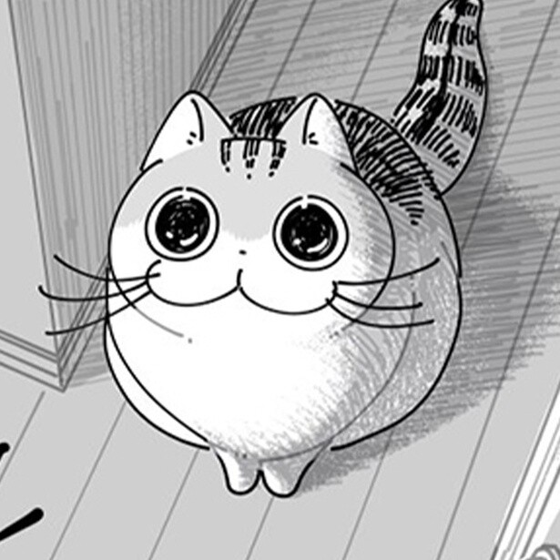 トイレから出てきた飼い主を見つめる猫